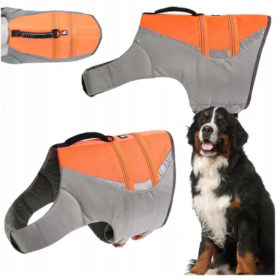 Produktbild von Truelove Dive Rettungsweste für Hunde Orange Größe XL