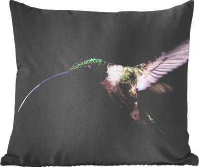 Produktbild von MuchoWow® Zierkissen Sofakissen Wohnzimmer Dekokissen 45x45 cm Kolibri - Vogel - Federn - Schlafpolster - Polster für das Sofa