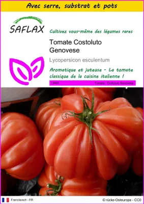 Image de SAFLAX Ensemble de culture - Tomate Costoluto Genovese - 10 graines - Lycopersicon