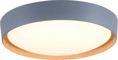 Obrázek produktu pro Stropní svítidlo LED, stmívatelné, šedé, D 40 cm