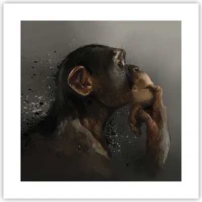 Produktbild von Poster - Poster ohne Rahmen - Schimpanse Porträt Grafik - 40x40 cm - Wand Bild - Wanddeko - Wandbilder - Kunstposter - Wandposter - Bilder - Kunstdruck - Wanddekoration - Wandbild - P2XAC40x40-4676