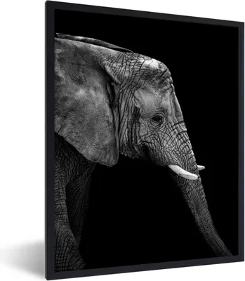 Produktbild von MuchoWow® Gerahmtes Poster Elefant - Schwarz und weiß - Porträt - Tiere 60x80 cm - Poster mit Schwarzem Bilderrahmen Wandposter Rahmen Foto Bilder - Premium - Wanddeko Wohnzimmer