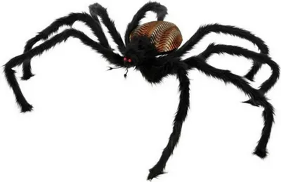 Image de Décoration Halloween XXL S1123404 araignée noire (3 pièces)