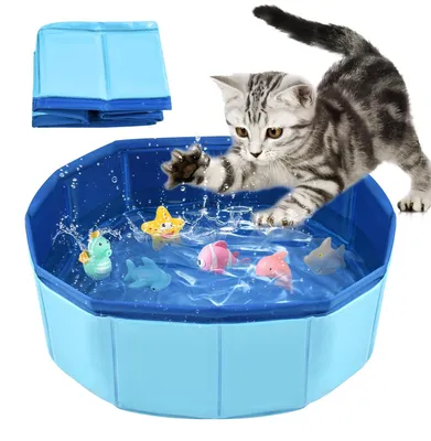Image de Piscine pliante pour animaux de compagnie pour chiens et chats 30 x 10 cm