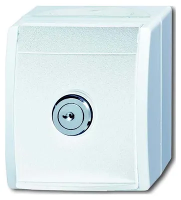 Immagine prodotto di Busch-Jaeger SCHUKO Presa di corrente alluminio/bianco con serratura 20 EWSL-54