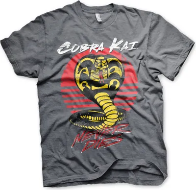 Produktbild von Cobra Kai Never Dies T-Shirt - Medium - Dark-Heather