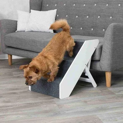 Produktbild von Famanu Hundetreppe für Bett und Sofa - Schaumstoff, waschbar, 20 x 67 x 47 cm
