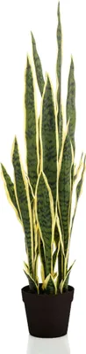 Produktbild von Kunstpflanze - Sanseveria Trifasciata - Frauenzunge - 97 cm