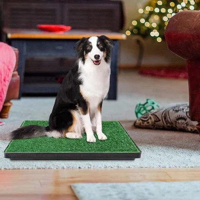 Produktbild von Unyqoos® Hunde-WC Trainingsunterlage 76 x 51 cm – 2 wechselbare Kunstrasenmatten, 3‑lagig mit herausziehbarer Auffangbox (ca. 2 L), innen & außen, für kleine und große Hunde