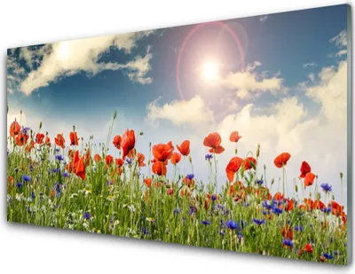 Produktbild von Küchenrückwand aus Glas 100x50cm Spritzschutz Wiese Blumen Natur