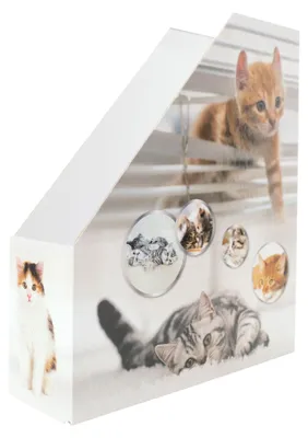 Produktbild von HERMA Stehsammler Katzen A4 Gelb
