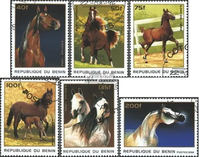 Produktbild von Briefmarken Benin 1996 Mi 830-835 (kompl.Ausg.) gestempelt Pferde