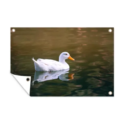 Obrázek produktu pro MuchoWow® Zahradní plakáty - Kachna - divoká - bílá - 120x180 cm - Zahradní dekorace