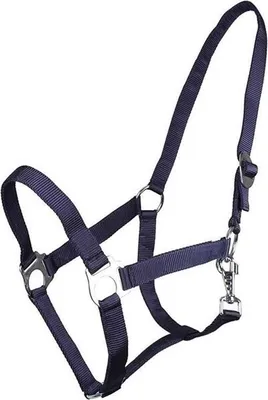 Immagine prodotto di Scivolo per cavezza QHP blu - Shet