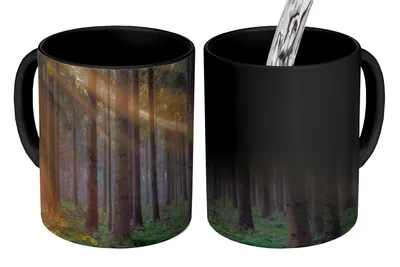 Obrázok produktu pre MuchoWow® Magický pohár Stromy - Les - Slnko - Rastliny 350 ml Pohár na zmenu farby Darček Nápad na darček - Foto hrnček