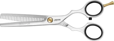 Obrázek produktu pro Jaguar Pre Style Ergo P Mode-