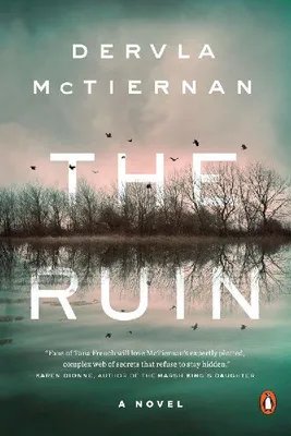 Produktbild von The Ruin