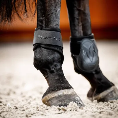 Image de Horseware Classic Fetlock Boots, Taille:L, Couleur:Noir/Black