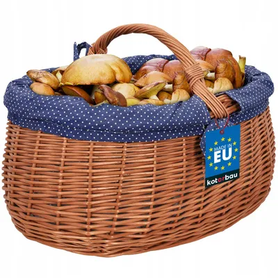 Produktbild von KOTARBAU® Natural Weidenkorb mit Henkel groß | mit Stoffeinlage in Blau | Tragekorb aus Weide Einkaufskorb geflochten Weide Weidenkörbe mit Henkel Einkaufskörbe Picknickkorb geflochten