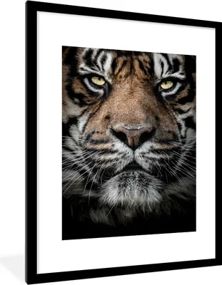 Produktbild von MuchoWow® MuchoWow® Gerahmtes Poster Tiger - Nahaufnahme - Tier 60x80 cm - Poster mit zchwarzem Bilderrahmen - Wohnzimmer - Dekorationen - Prämie