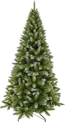 Image de Triumph Tree Arbre de Noël artificiel Pittsburgh - 122x122x230 cm - PVC - Vert