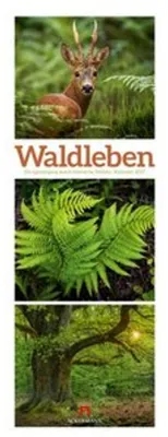 Image de Calendrier Waldleben Triplet 2027 | Promenade dans les forêts locales