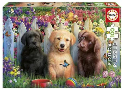 Produktbild von Educa - Puzzle Posing Puppies - 100 dielov