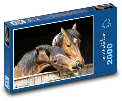 Obrázok produktu pre martinpuzzle - Puzzle 2000 - Kôn