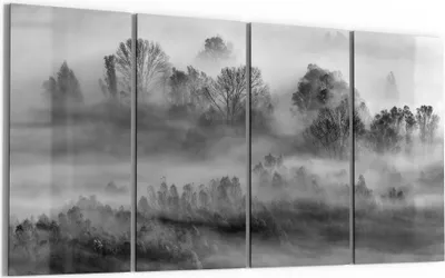 Produktbild von DEQORI Glasbild Echtglas 4x30x60 cm 'Nebelgeflüster' Wandbilder XXL groß