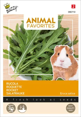 Produktbild von Salatrauke für Meerschweinchen | Kleintiersaaten von Buzzy Seeds