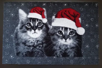 Produktbild von Fußmatte Katzen Weihnachten Weihnachtskatze Christmas Türvorleger