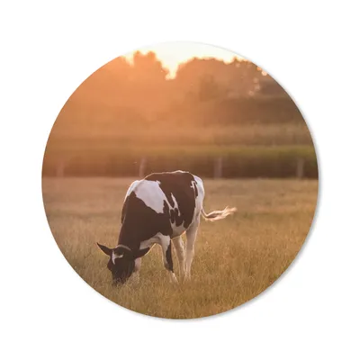 Produktbild von MuchoWow® Mauspad Mousepad Kuh - Sonne - Tiere 20x20 cm - Mousepads - Maus Mat - Pad - Mausunterlage - Schreibtischmatte