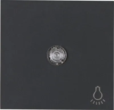 Produktbild von Kopp 490446001 Flächenwippe mit Linse + Symbol Licht Athenis 55 anthrazit