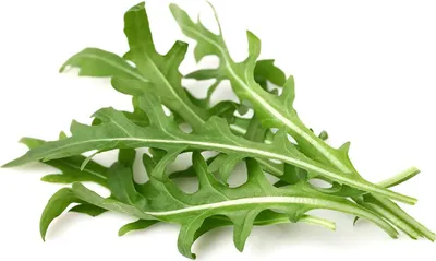 Produktbild von Click & Grow Blattsenf-Pflanzenkapseln 3er-Pack, Essbare Pflanze, Senf, Starter-Set, 7 - 14 Tag(e), 18 - 24 °C, 3 Stück(e)