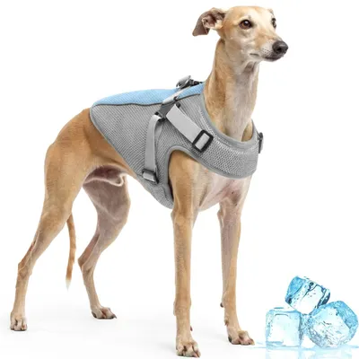 Produktbild von Hundekühlweste – Atmungsaktiv und kühlend – Grau – Größe L