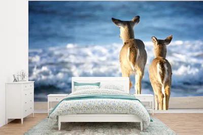 Produktbild von Strandfotobehang aus Kunststoff, 400 cm x 300 cm, Seebrauch