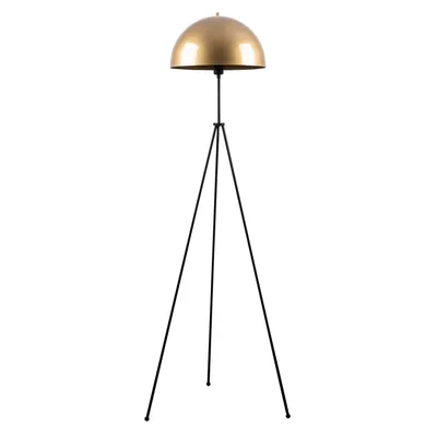 Produktbild von Opviq, Can - NT - 113, Stehlampen, Gold, Metall, 50 x 50 x 170 cm