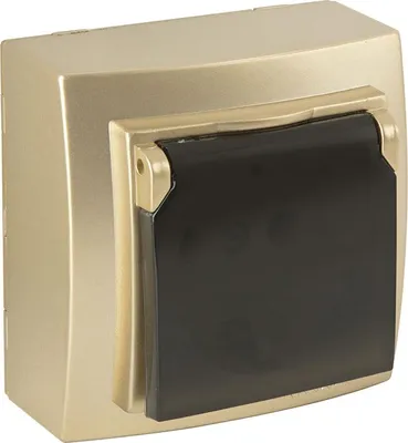 Produktbild von Steckdose mit Deckel Gold Metall Optik – Aufputz IP20 für Innen – THEMIS