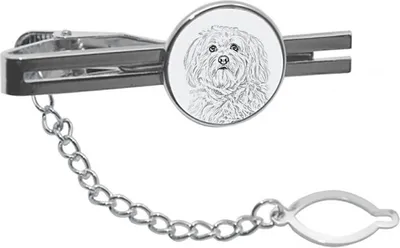 Immagine prodotto di Art-Dog Fermacravatta – Bichon havanais