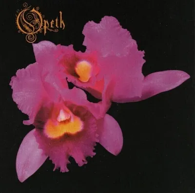Produktbild von Opeth - Orchid (CD)