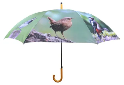 Image de Parapluie Oiseaux - Multicolore - D 122 x H 95,8 cm