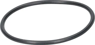 Produktbild von Amica Dichtungsring 1035855 für Geschirrspüler | Dichtung, Ringdichtung, O-Ring