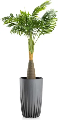 Image de HowHomely | Jardinière - Stripped - 25,3x42 cm - Gris - Design moderne - Résistant aux intempéries et léger