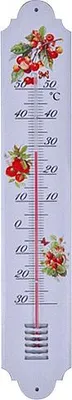 Produktbild von Thermometer Strend Pro TM-156 Country, Außen, 500 mm, Metall