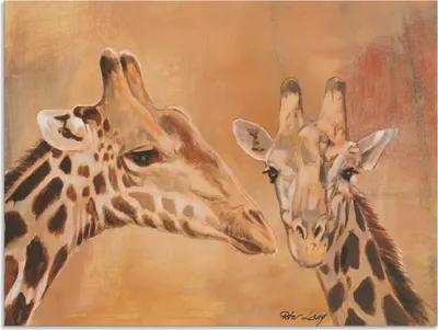 Produktbild von ARTland Wandbild Alu für Innen & Outdoor Giraffen Größe: 40x30 cm