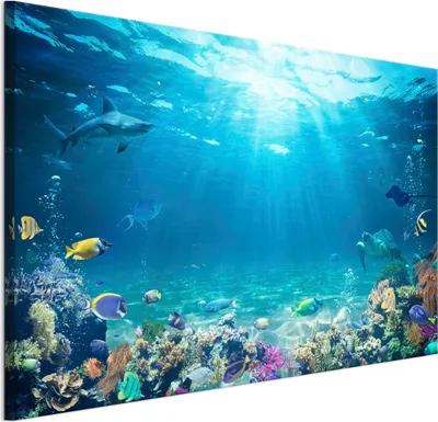 Image de LUMASOUL Tableau sur toile, motif animalier, tableaux muraux cadre en bois, Tableau Mural pour Salon & Chambre, 90x60 cm modernes