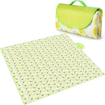 Produktbild von Famanu Picknickdecke Wasserfest 200 x 200 cm - Tragbare Decke für Camping und Strand