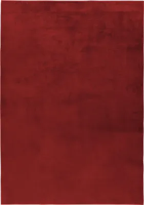 Produktbild von Homebyhome Flauschiger Hochflor Teppich Einfarbig - Kunstfell Look, Plüschig & Superweich für Wohnzimmer, Grösse: 240x340 cm