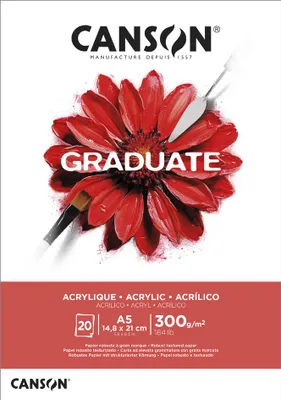 Produktbild von Canson Graduate, Kunstpapier, 290 g/m², 20 Blätter