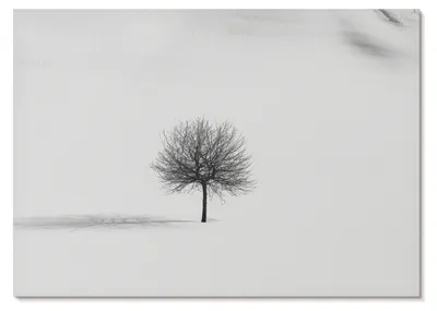 Produktbild von POSTER - 29x21 cm (A4) - Minimum - Minimalistisches winterliches Baumlandschafts-Harmoniemotiv -  Wandbild für Wohnzimmer Schlafzimmer & Flur, Modernes Poster Wanddeko, Ungerahmt